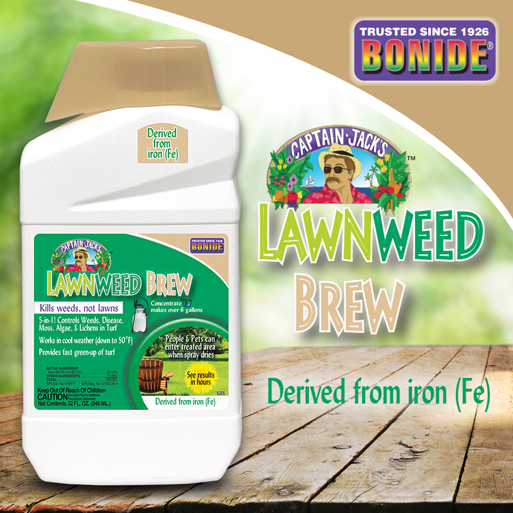 Bonide® 2611 Lawn Weed Brew, Bottle Container, 1 qt Container, Liquid, Dark Red, Ammonia