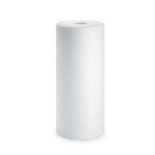 Pentair RS16-SS2-S18 Water Filter, 9-3/4 in Length, 2-1/2 in Width, 4-1/2 in Height, Polypropylene, White