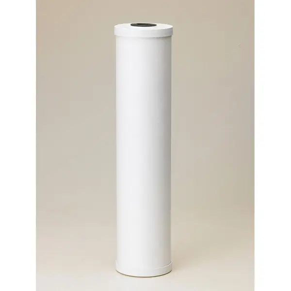 Pentair TO8-20-SC-S18 Water Filter Cartridge, 20 in Length, 4-1/2 in Width, Granular Carbon, White